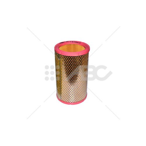 Filtro Aire Peug 306 Turbod  (Ue10) C12861 Mann