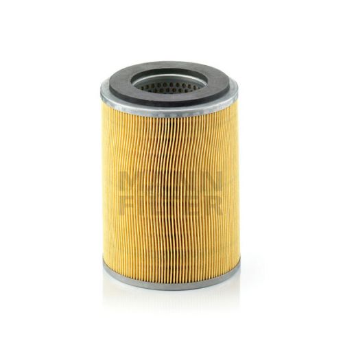 Filtro Aire Nissan Terrano (Ue1) C131031 Mann