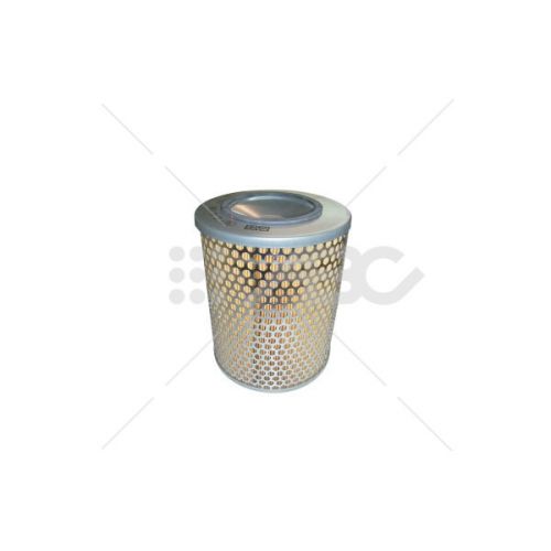 Filtro Aire Isuzutroop 3.1I(Ue1) C16166 Mann
