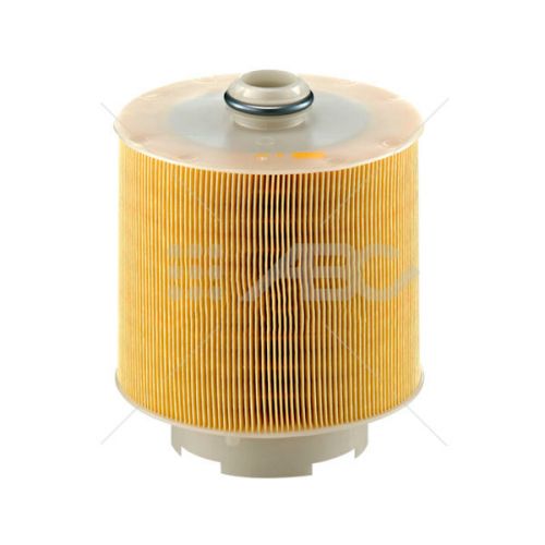 Filtro Aire Audi A6 (Ue1) C171371X Mann