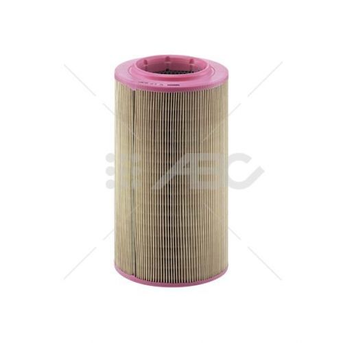 Filtro Aire C17237 Mann