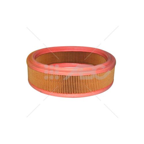Filtro Aire Rover Mini 1.3 (Ue1) C2021 Mann