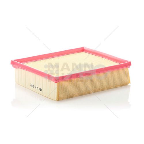 Filtro Aire Renault Ra A C241231 C241232 Mann