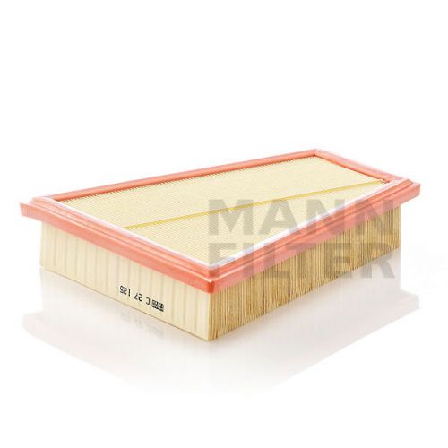 Filtro Aire Bmw X1-Z4 C27125 Mann