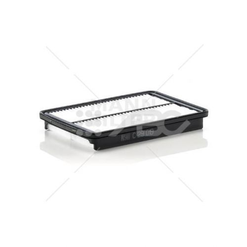 Filtro Aire Liviano C29019 Mann