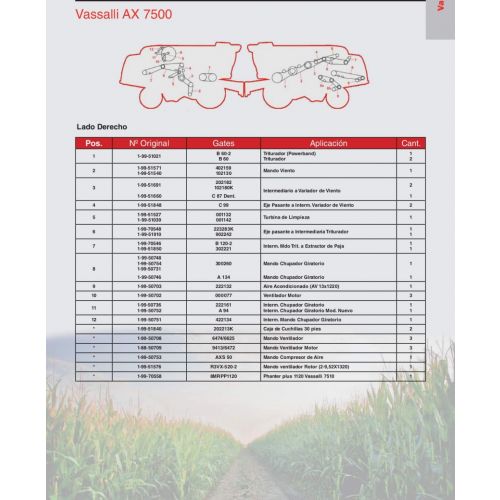 Correas para  Vassalli AX 7500 Marca Gates