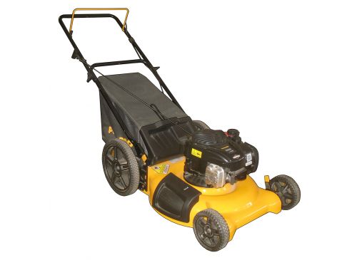 Maquina Cortacesped Poulan Pro 5.5 Hp Motor Briggs & Stratton C/Bolsa