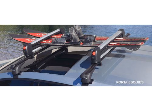 Porta Ski Bracco