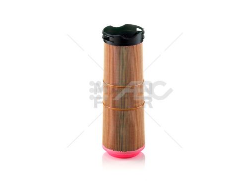 Filtro Aire Mercedes Benz (Ue1) C12133 Mann
