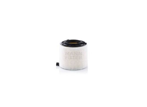 Filtro Aire Liviano C17010 Mann