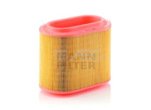 Filtro Aire Hyundai Minibus(Ue1) C24196 Mann
